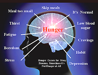 causes of hunger