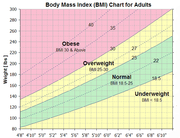 bmi for adults